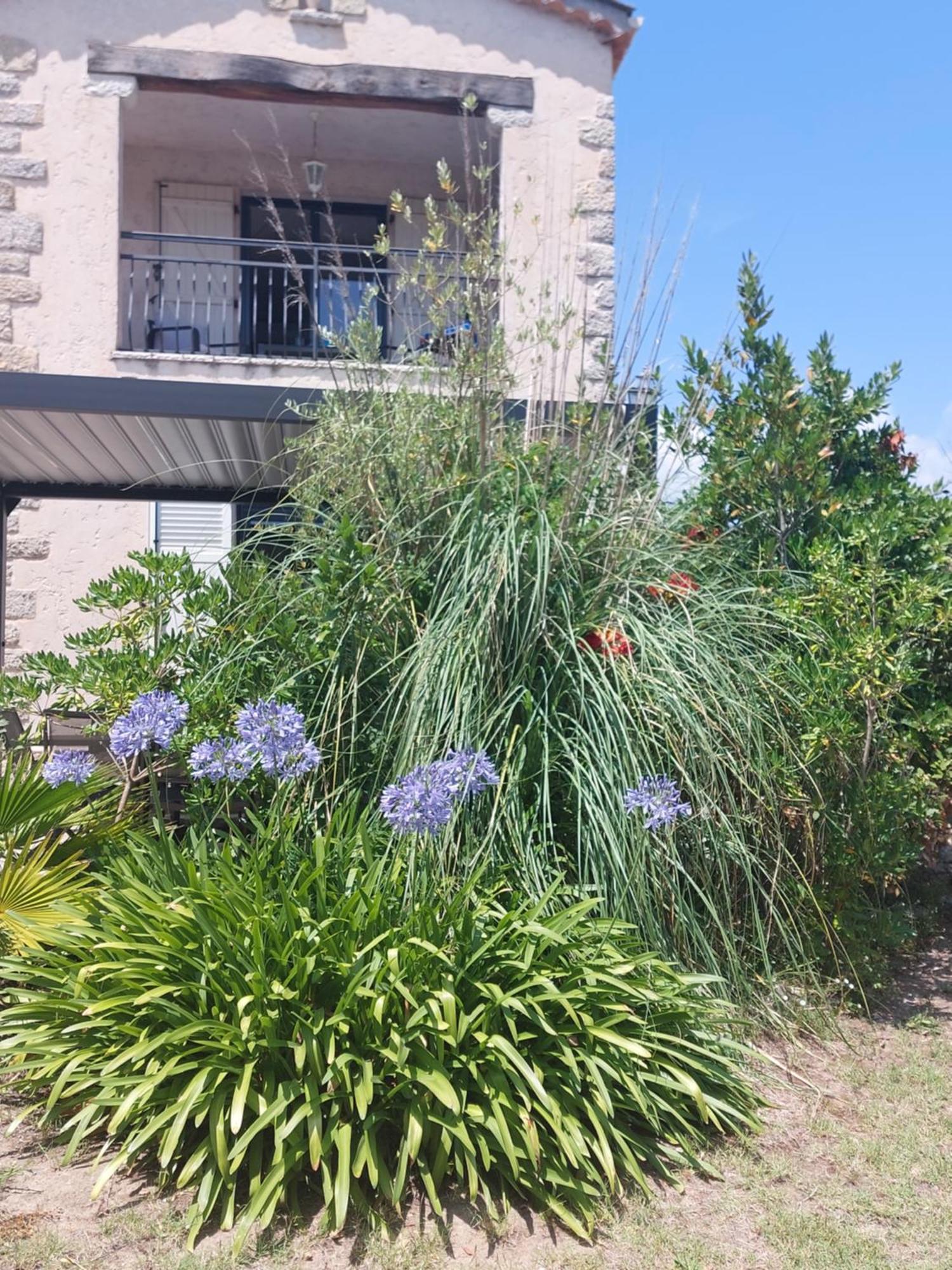 Appart 2 Pieces Independant Dans Villa Proche Centre Ville Au Calme Mandelieu Εξωτερικό φωτογραφία